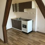 Rent 1 bedroom apartment in Trutnov