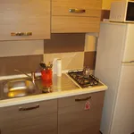 Rent 3 bedroom apartment in Bologna