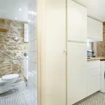 Rent 1 bedroom apartment of 250 m² in Lyon