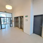 Rent 3 bedroom apartment of 115 m² in Brno