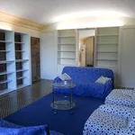 Rent 1 bedroom apartment in modena