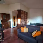 Rent 1 bedroom apartment of 30 m² in Rome