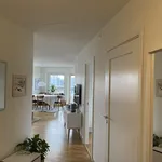 Rent 4 bedroom apartment of 81 m² in Borås