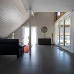 Rent 5 bedroom apartment of 145 m² in Siselen