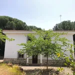 Alquilar 4 dormitorio apartamento en cordoba