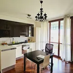 Rent 2 bedroom apartment of 50 m² in Milano