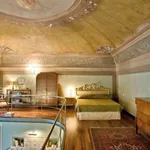 Rent 1 bedroom apartment of 50 m² in Firenze