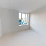 Rent 1 bedroom apartment in The Hague