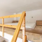 Rent 1 bedroom apartment of 15 m² in Brno