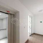 Rent 1 bedroom apartment in Capital City of Prague