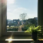 Rent 2 bedroom apartment of 55 m² in Cologne