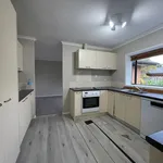 Rent 3 bedroom house in auckland