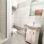 Rent 2 bedroom apartment of 40 m² in Ostrava