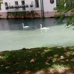 Rent 4 bedroom apartment of 90 m² in Treviso