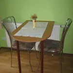 Rent 1 bedroom apartment in Postřelmov