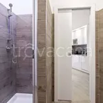 Rent 2 bedroom apartment of 50 m² in Milano