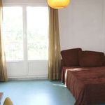 Rent 1 bedroom apartment of 18 m² in Clermont-Ferrand
