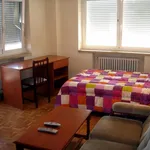 Alquilar 5 dormitorio apartamento en Salamanca