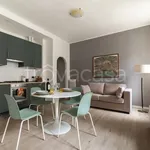 Rent 2 bedroom apartment of 36 m² in Carpi