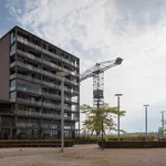 Huur 3 slaapkamer appartement van 333 m² in Temse