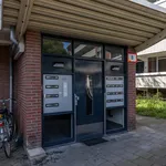 Huur 1 slaapkamer appartement van 75 m² in Bussum