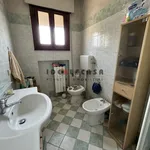 Rent 3 bedroom apartment of 16 m² in padova