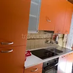 Rent 1 bedroom apartment of 50 m² in San Salvo