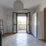 Rent 3 bedroom apartment of 60 m² in Empoli