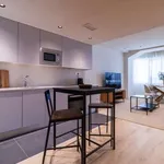 Rent 1 bedroom apartment in madrid