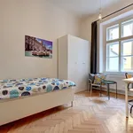 Rent 4 bedroom apartment in Prague