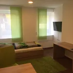 Rent 1 bedroom apartment of 24 m² in Unterföhring