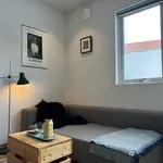 Rent 1 bedroom apartment of 22 m² in Oslo