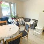 Rent 1 bedroom apartment of 36 m² in Brno