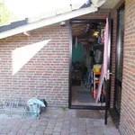 Rent 3 bedroom house of 90 m² in friesland