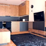 Rent 2 bedroom apartment of 53 m² in Katowice