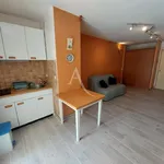 Rent 1 bedroom apartment of 32 m² in GRANDE MOTTE