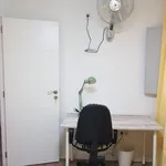 Rent 4 bedroom apartment in Valencia