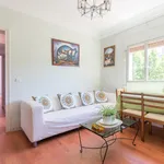 Rent 3 bedroom apartment in Madrid