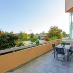 Rent 1 bedroom apartment of 70 m² in Teolo