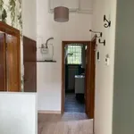 Rent 3 bedroom apartment of 75 m² in Bologna