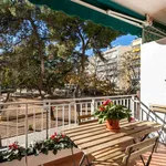 Alquilar 4 dormitorio apartamento en barcelona