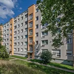 Rent 3 bedroom apartment of 64 m² in Dresden