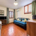 Rent 1 bedroom apartment of 40 m² in Firenze