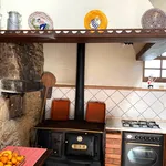 Rent 4 bedroom house of 315 m² in Santa Maria da Feira