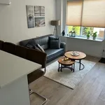 Rent 1 bedroom apartment of 44 m² in Dobbelmannduin