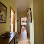 Alugar 1 quarto apartamento em Esposende