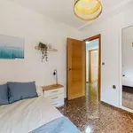 Rent a room in valencia