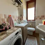 Rent 3 bedroom apartment of 80 m² in Turin