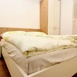 Miete 1 Schlafzimmer wohnung von 35 m² in Vienna