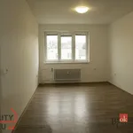 Rent 2 bedroom apartment in Trutnov